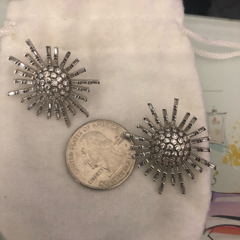 Beautiful silver earrings